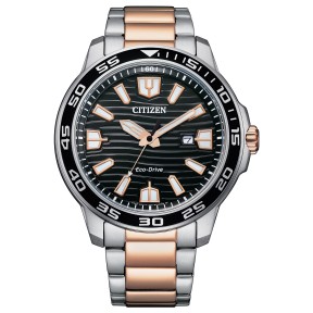 Citizen AW1524-84E Eco-Drive Black Dial Date Display Two-Tone Stainless Steel Men's Watch